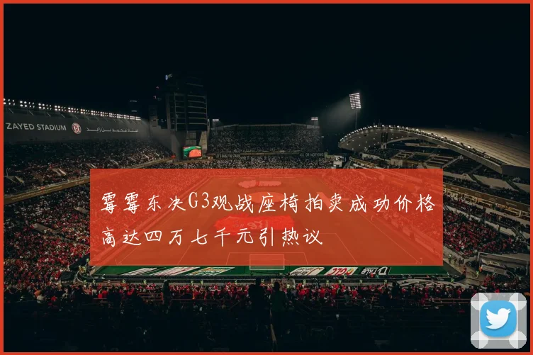 霉霉东决G3观战座椅拍卖成功价格高达四万七千元引热议